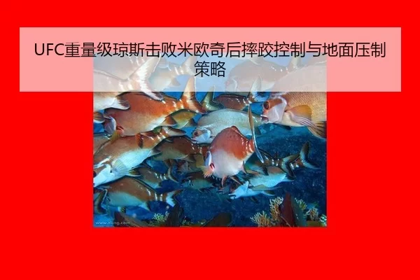 zhong-liang-ji-qiong-si-ji-bai-mi-ou-qi-hou-shuai-jiao-kong-zhi-yu-di-mian-ya-zhi-ce-lve-2-779.jpg